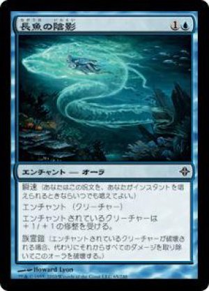 画像: 長魚の陰影