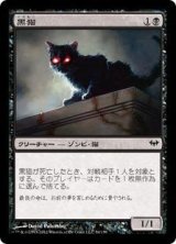 画像: 黒猫