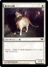 画像: 聖所の猫